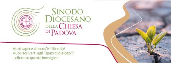 Sinodo Diocesano